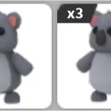 x4 Koala