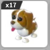 x17 Springer Spaniel