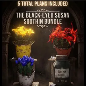Black-Eyed Susan Bundle