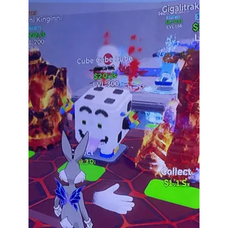 Pet