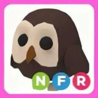 NFR Owl