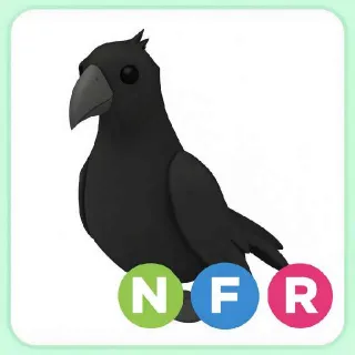 NFR Crow