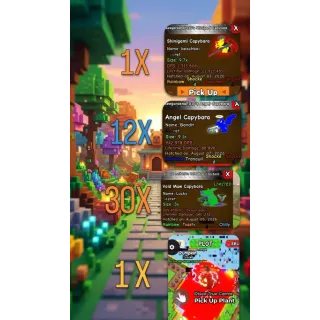 BUNDLE PLANTS VS BRAINROTS