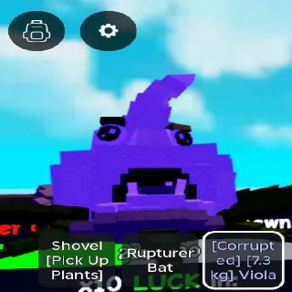 Corrupted Viola 7.3 kg