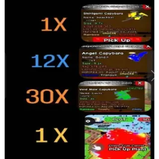 BUNDLE PLANTS VS BRAINROTS