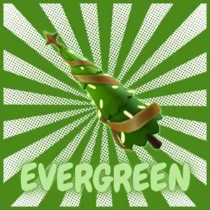 evergreen