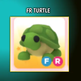 fr turtle