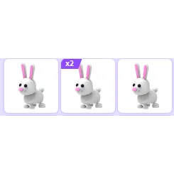 4 Bunny 