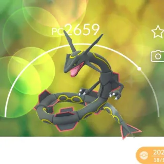 SHINY RAYQUAZA
