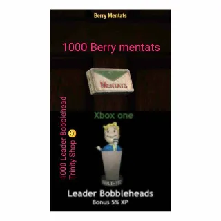 Aid | 1k Leader Bobble + Berry