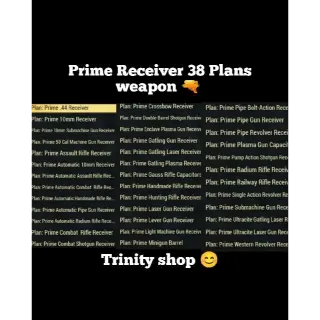 Prime Receiver 38 Plans