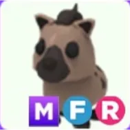 Hyena