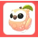 Peach Owl