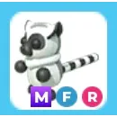 MFR Ring-Tailed Lemur