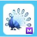 Mega Moonbeam Peacock