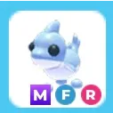MFR Shark Puppy