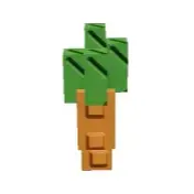 10000x Carrot