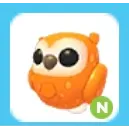 Neon Clementine Owl