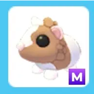 Mega Chocolate Dutch Guinea Pig