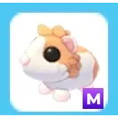 Mega Red Dutch Guinea Pig