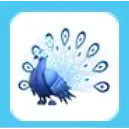 Moonbeam Peacock