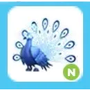 Neon Moonbeam Peacock