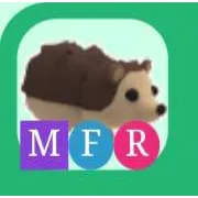 MFR Hedgehog