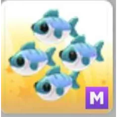 Pet | MFR Many Mackerel