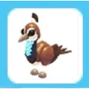 16x Peahen