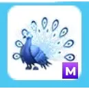 Mega Moonbeam Peacock