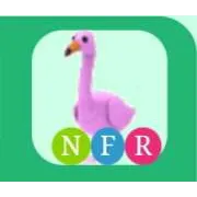 NFR Flamingo