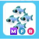 MFR Many Mackerel