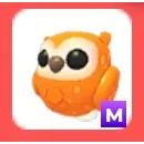 Mega Clementine Owl