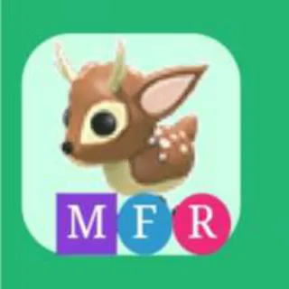 MFR Fallow Deer