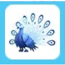 4x Moonbeam Peacock
