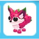 16x Dragonfruit Fox