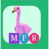 MFR Flamingo