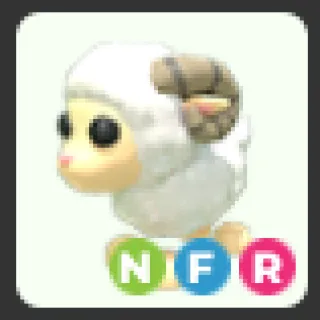 NFR RAM