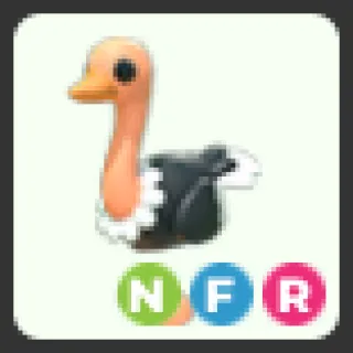NFR Ostrich