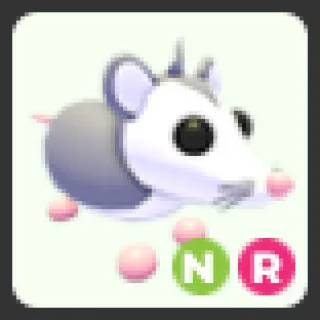 NR Possum