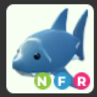 NFR Shark