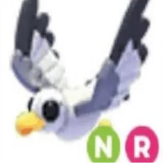 NR Seagull