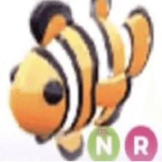 NR Clownfish