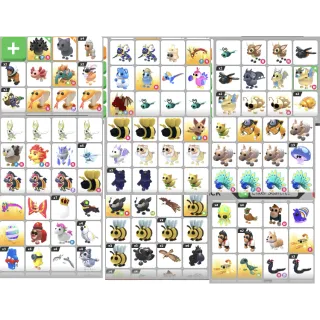 Custom PET Bundles DO NOT BUY