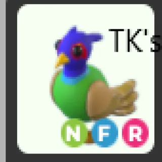 NFR Green Chested Pheasant