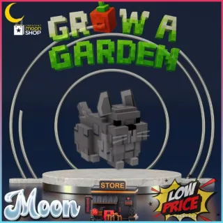 5x CHINCHILLA GROW A GARDEN .