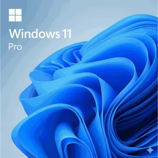 Windows 11 PRO