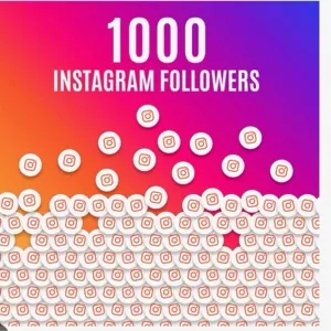 Instagram Followers 