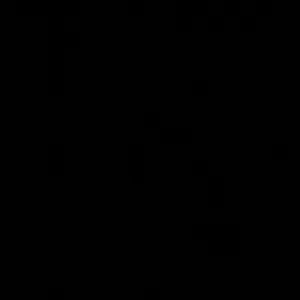 Custom order 1k likes 