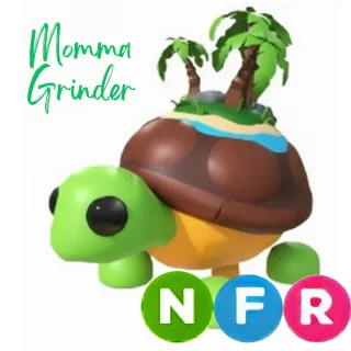 NFR TORTUGA DE LA ISLA